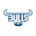 Logo de l'équipe