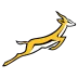 Logo de l'équipe