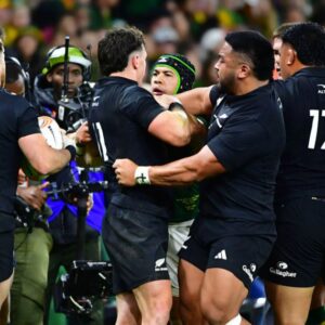 Ce que dit l'entreprise risquée de Rassie sur les Springboks