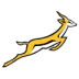 Logo de l'équipe