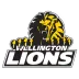 Logo de l'équipe