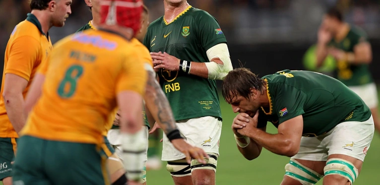Notes des joueurs des Springboks
