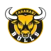 Logo de l'équipe