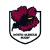 Logo de l'équipe